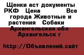 Щенки аст документы РКФ › Цена ­ 15 000 - Все города Животные и растения » Собаки   . Архангельская обл.,Архангельск г.